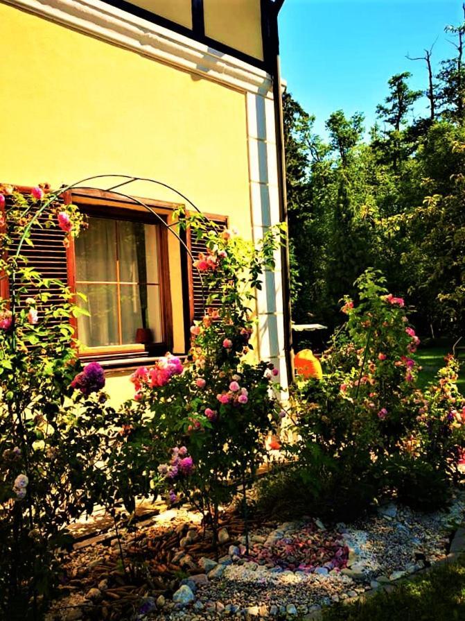 Penzión Pod orechom Turčianske Teplice Exterior foto