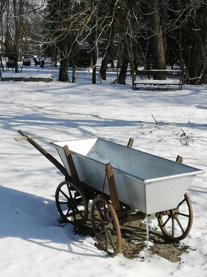 Penzión Pod orechom Turčianske Teplice Exterior foto