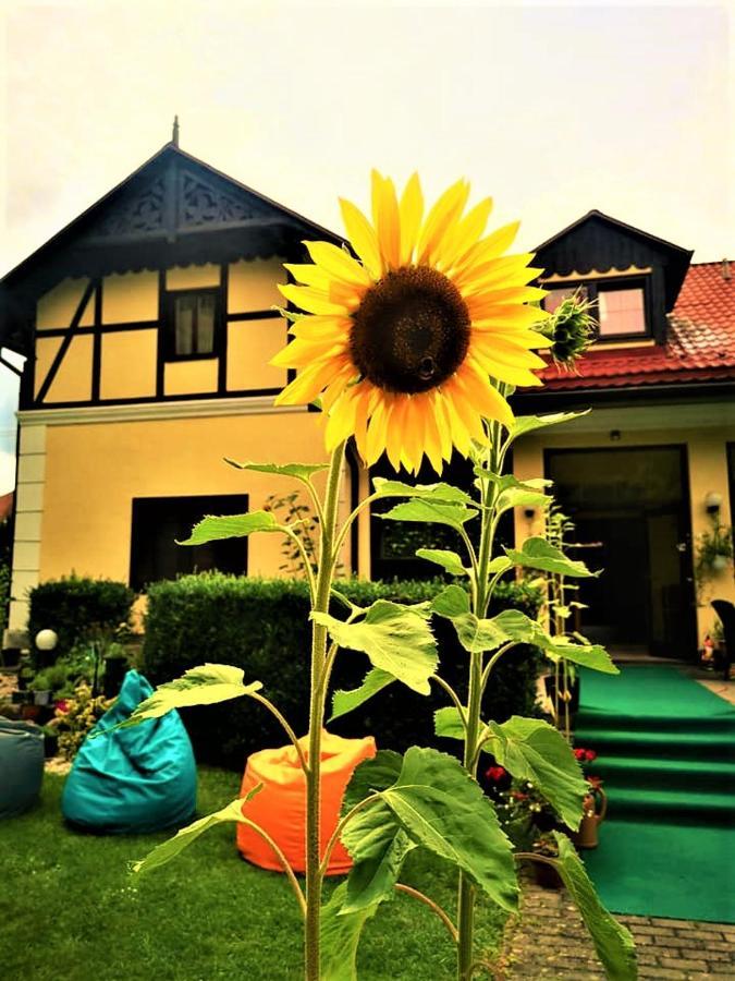 Penzión Pod orechom Turčianske Teplice Exterior foto